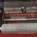PVC gecoate kippenhok zeshoekige draadgaas